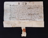 Grant of Swan Mark