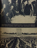 The March of Evil: A History of the Rise and Fall of the Fascist Evil