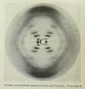 NATURE. A Weekly Journal of Science.