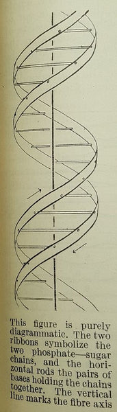NATURE. A Weekly Journal of Science.